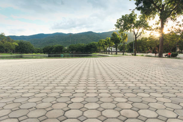 Best Residential Paver Driveway  in Central Gardens, TX